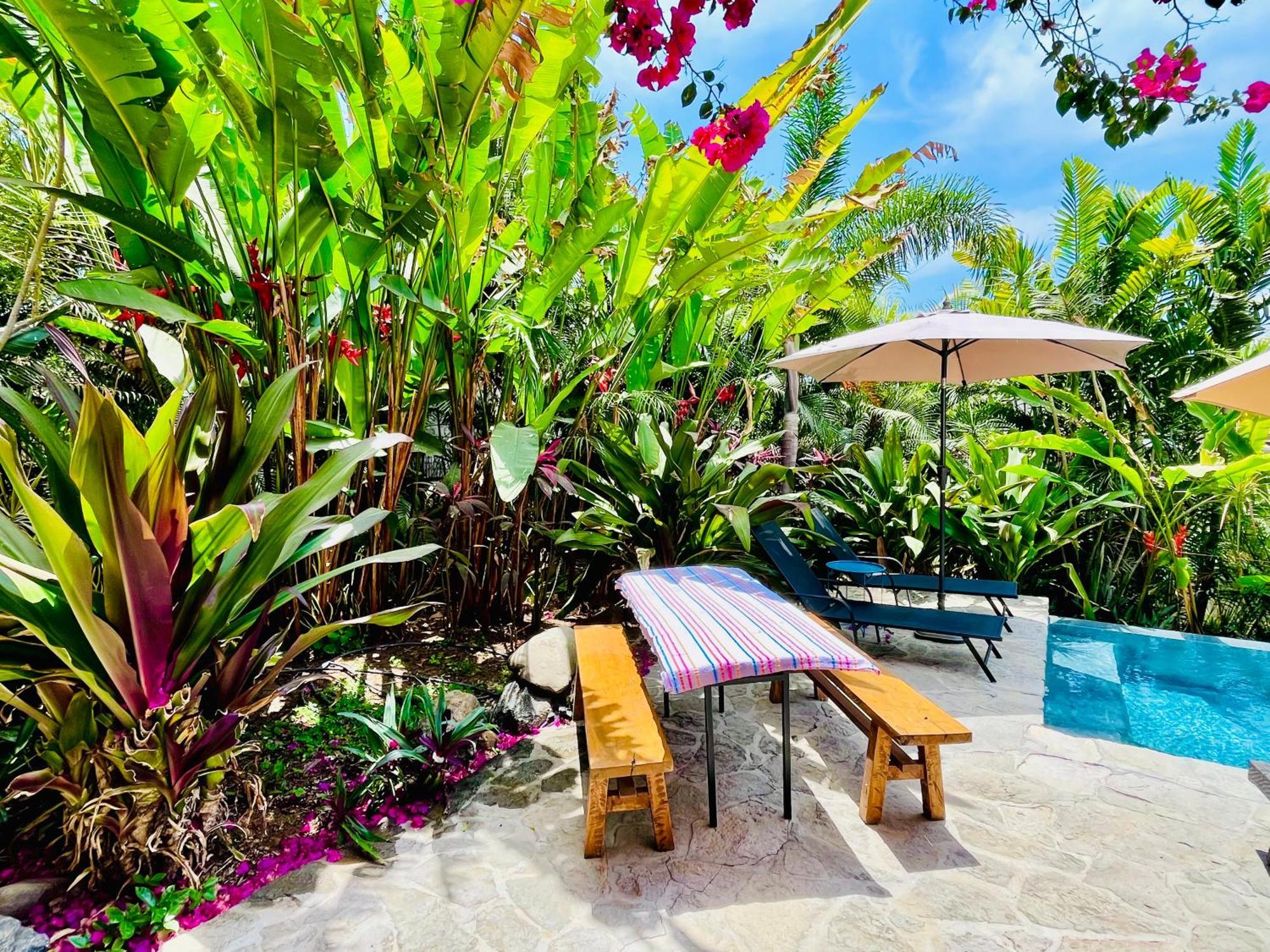 Apartment Huge Suite!! King Bed, Air Conditioning, Pool, Fast Wifi - Sol At Casa Calavera *