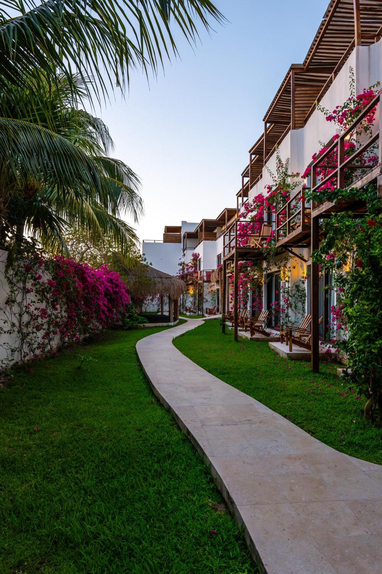 My Blue 5* Isla Holbox
