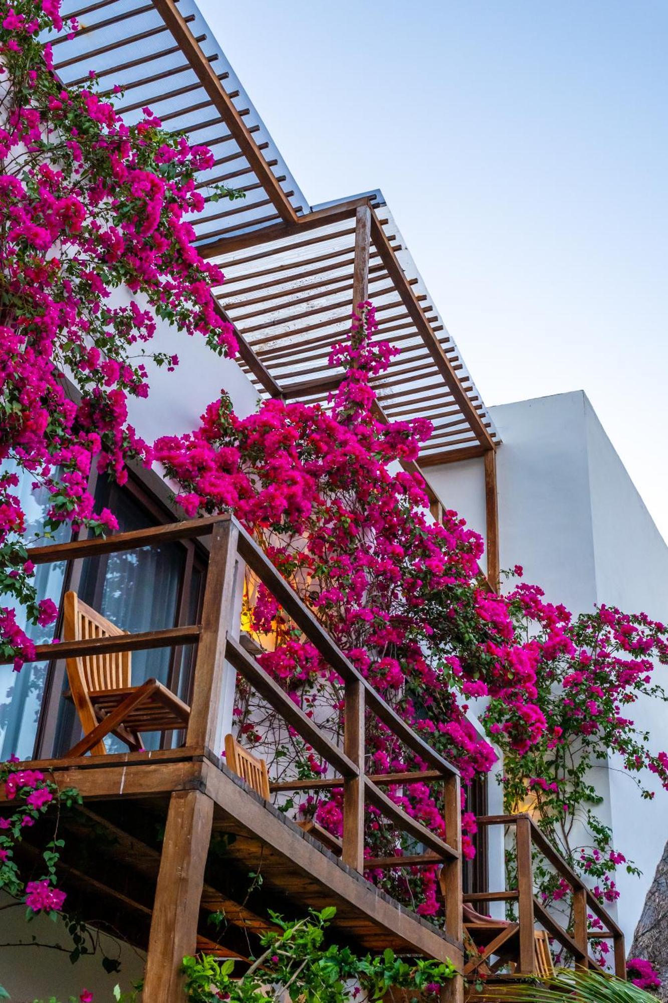 Hotel My Blue Isla Holbox