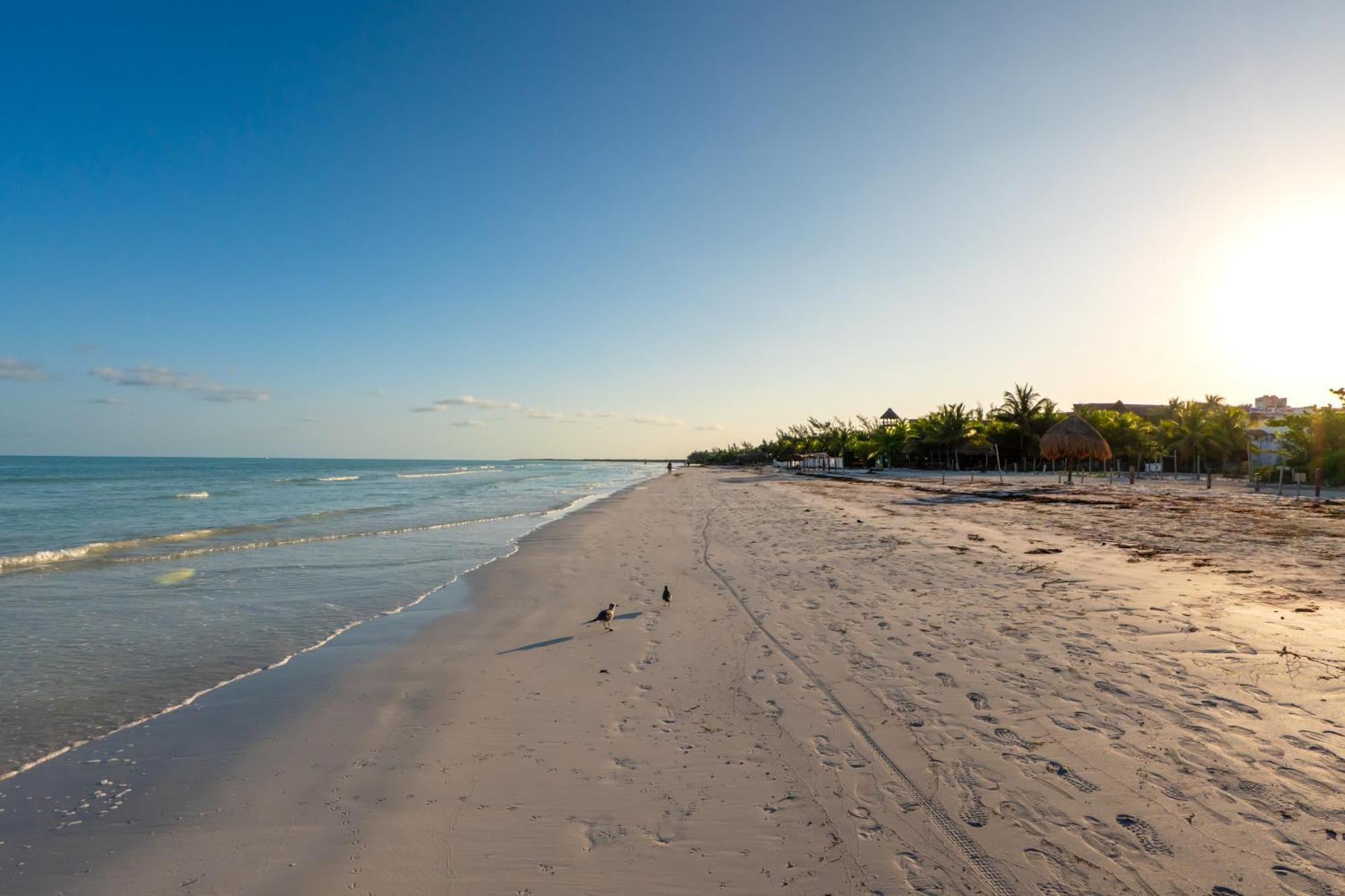My Blue Hotel Isla Holbox