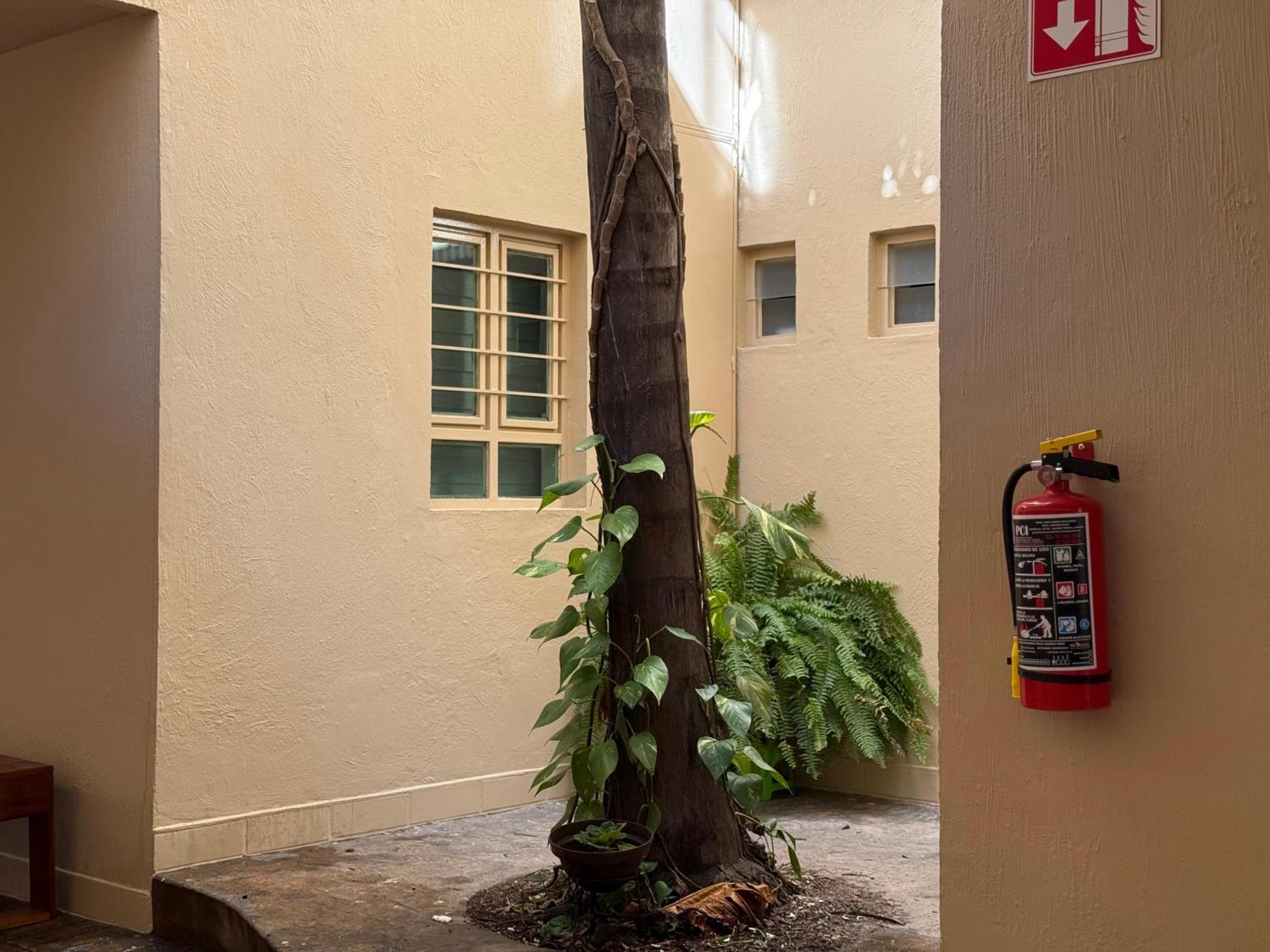 Hotel La Palma 4*