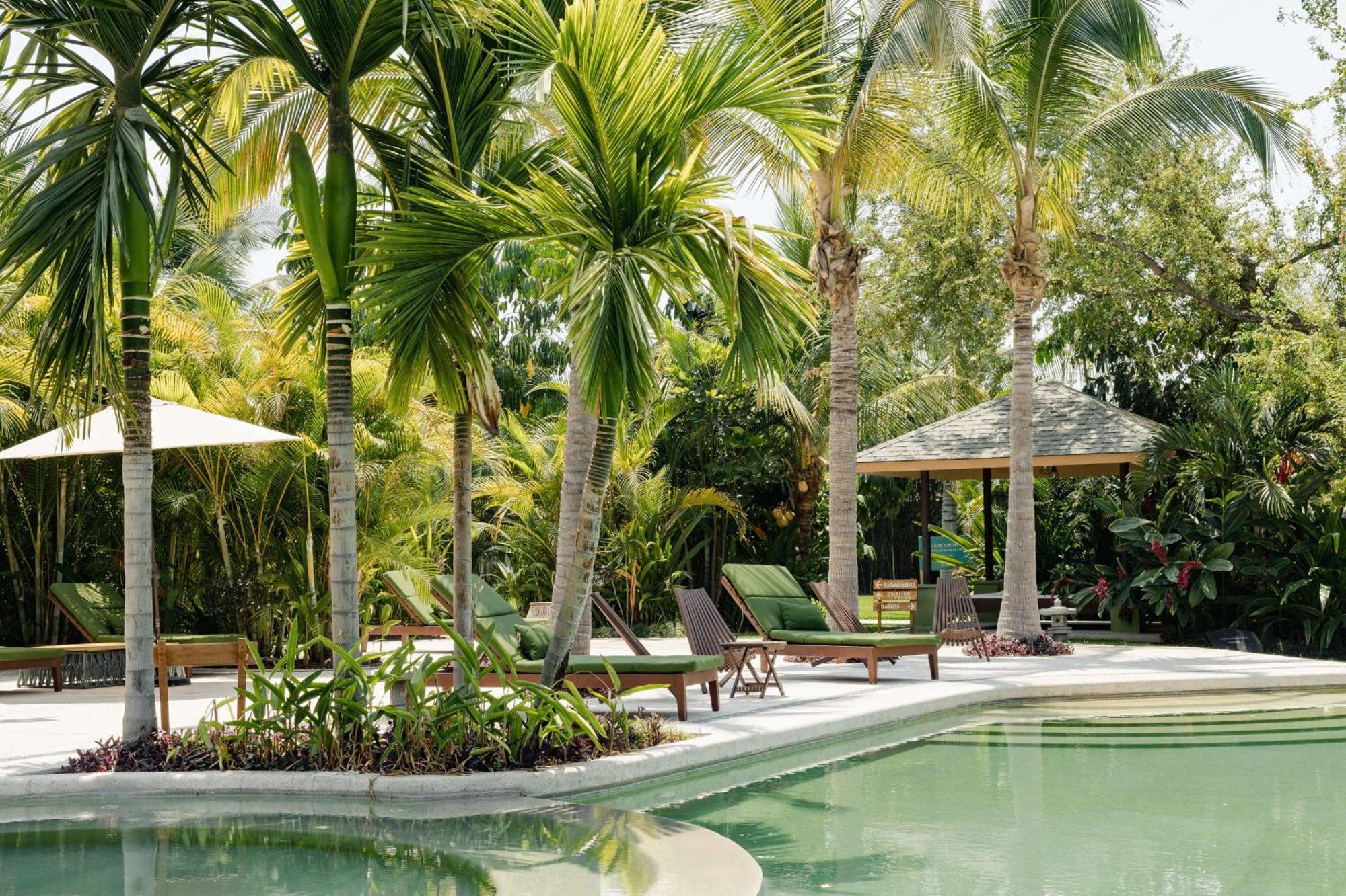 Soul Spring Sanctuary Cuernavaca
