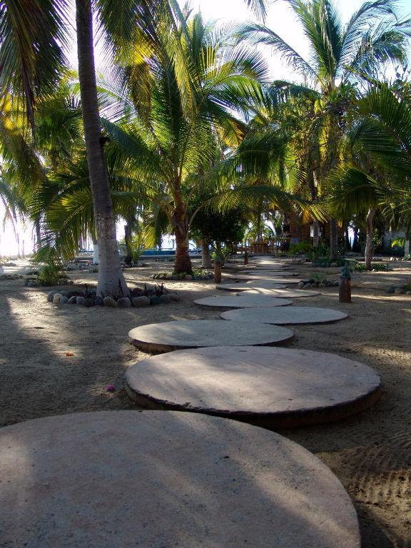Playa Calli Hotel 3*