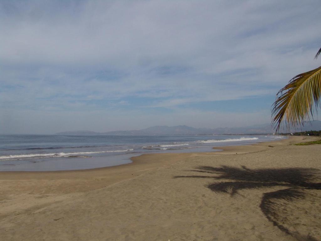 Hotel Playa Calli