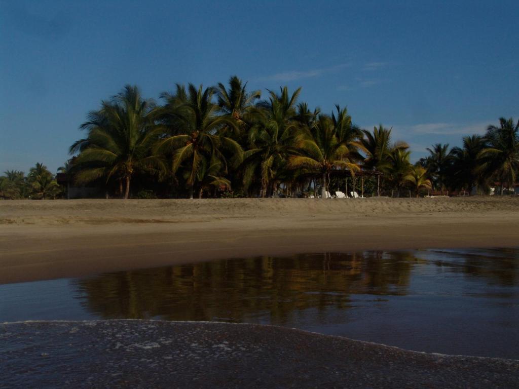 Playa Calli Hotel 3*