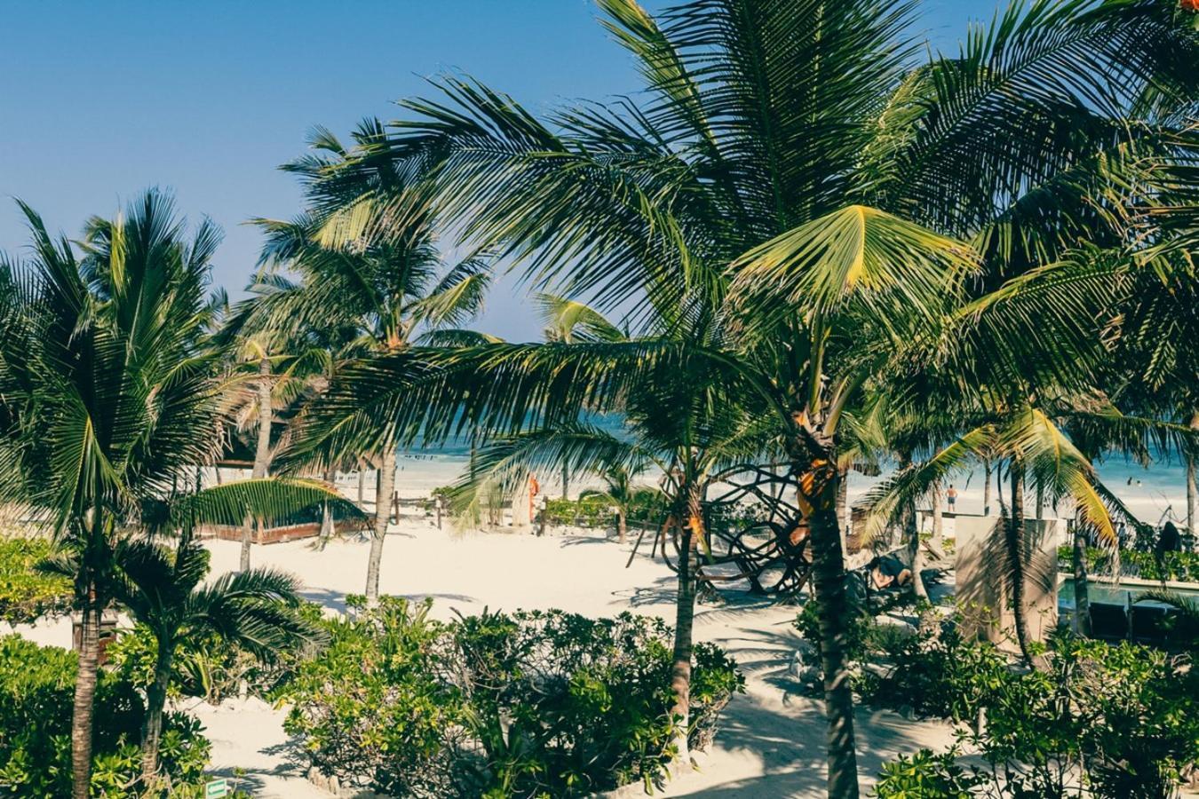 Hotel Mia Tulum Beachfront Resort - Ocean View Suites And Beach Club