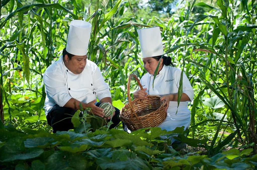 Hotel Hacienda And Yaxkin 5*