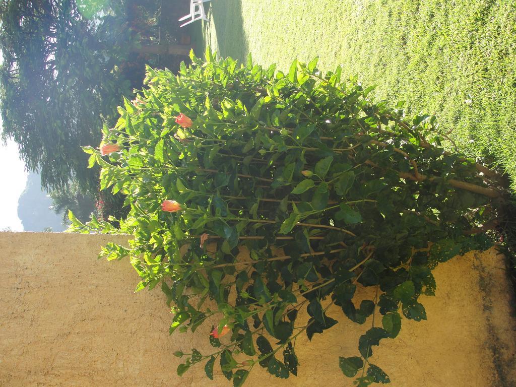 Las Casitas * Tepoztlan