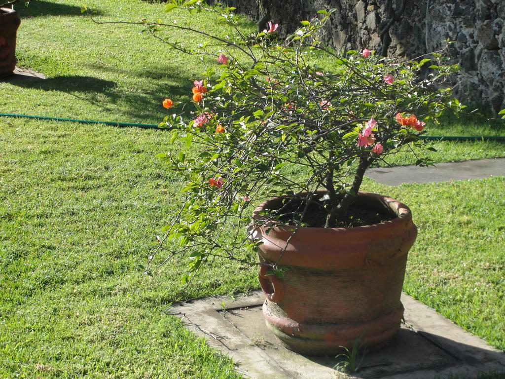 Las Casitas Holiday home