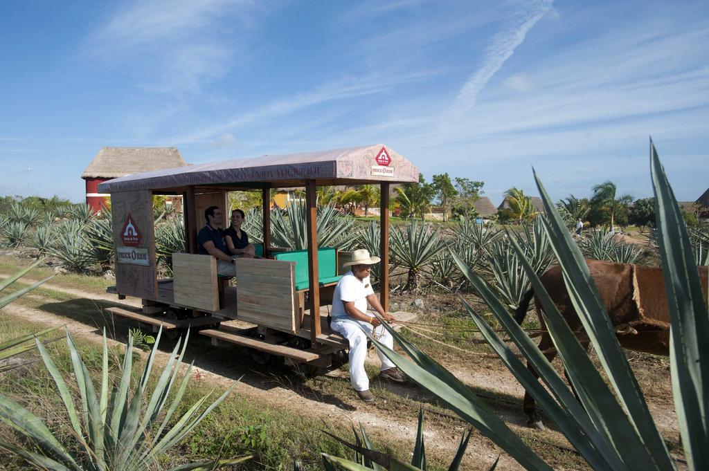 Hacienda Viva Sotuta De Peon