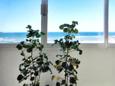 Boulevard Del Mar