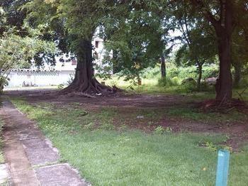 Y Corita 2* Bucerias