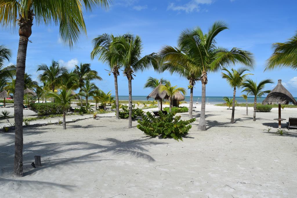 Delfines 4* Isla Holbox
