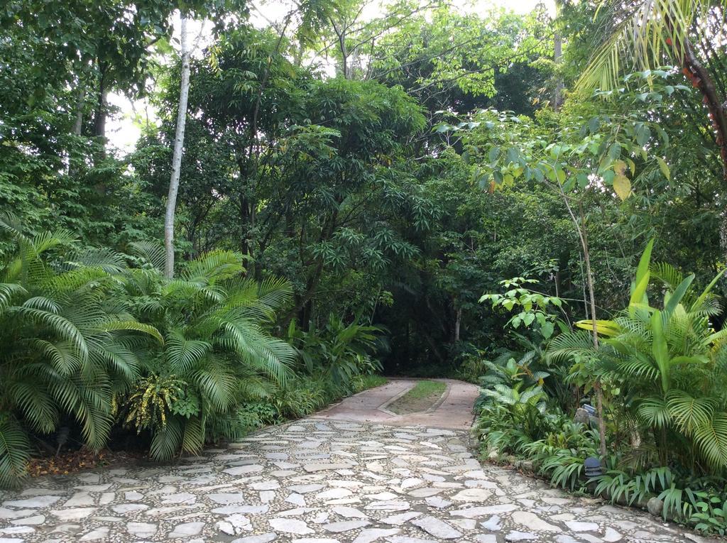 Hotel Boutique Quinta Chanabnal