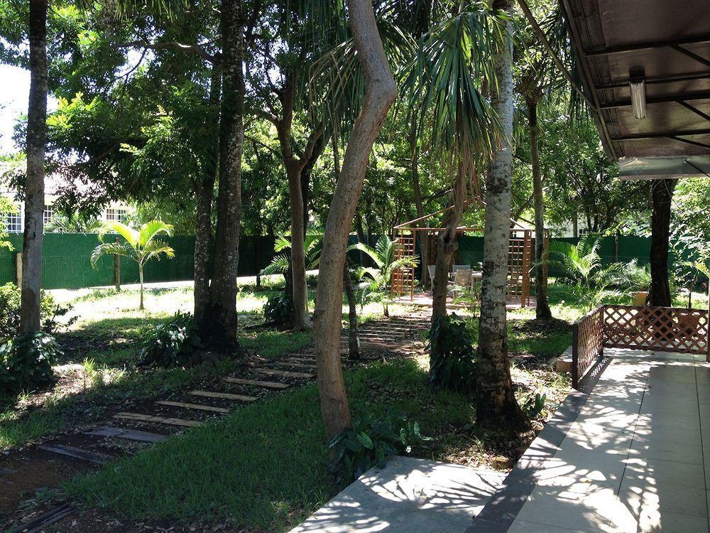 Bambu