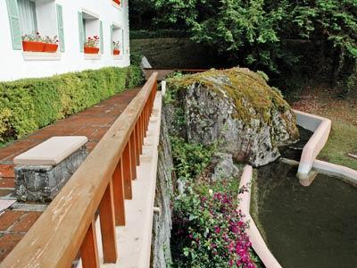 El Paraiso Mineral del Chico