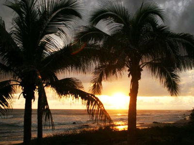 Hotel Casa Viva Troncones