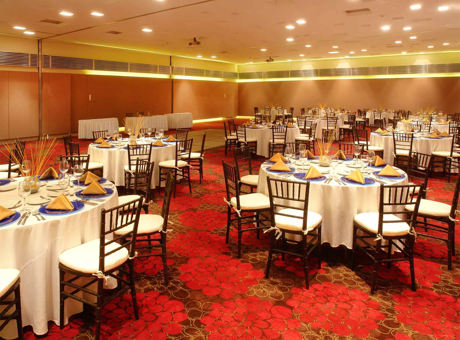 Hotel Emporio Ixtapa