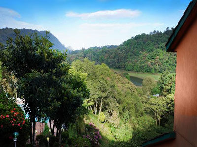 Forest Huauchinango