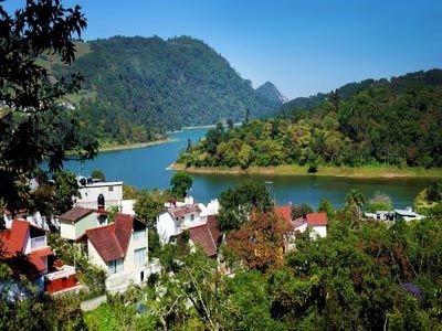 Hotel Forest 3*