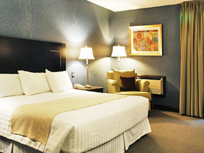 Royal Garden Hotel Reynosa