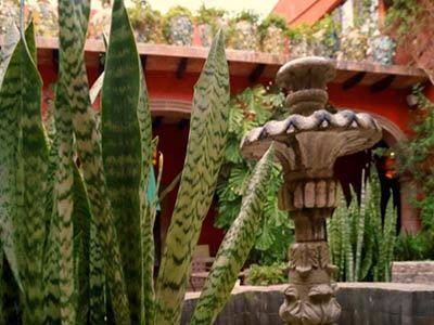 Casa Luna Boutique 3* San Miguel de Allende
