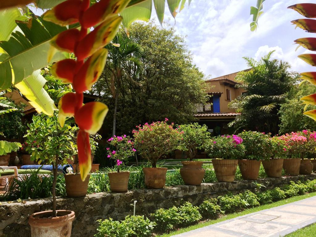 Orchidelirium Casa Hotel & Salud Estetica Hotel 4*