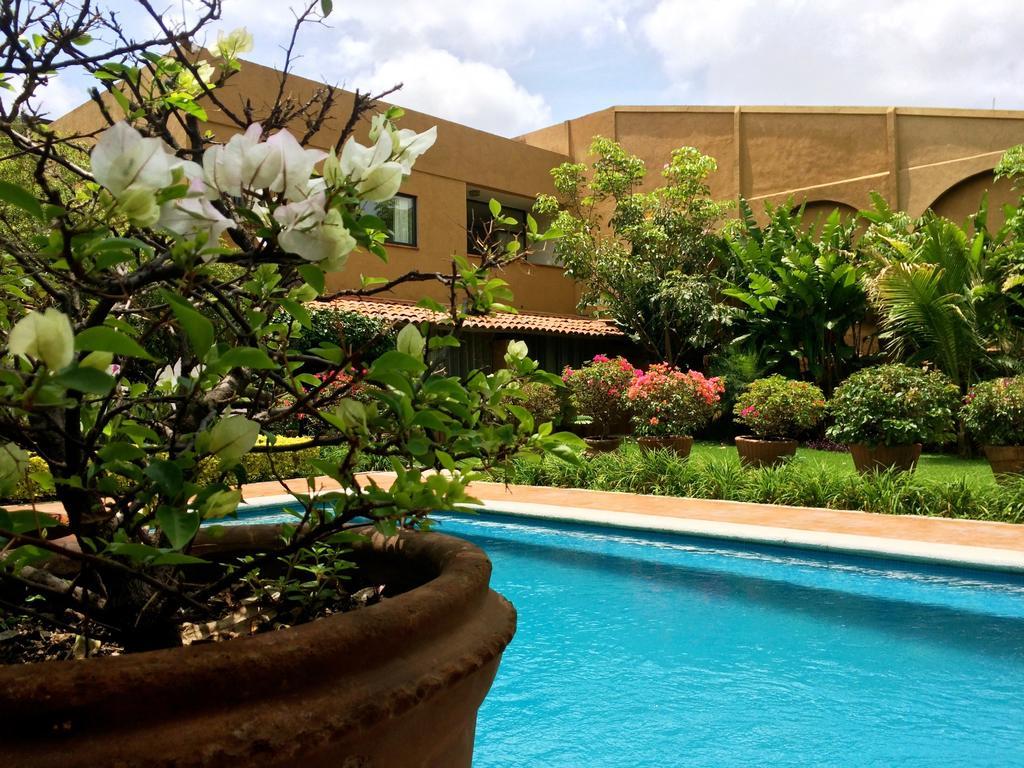 Orchidelirium Casa Hotel & Salud Estetica Hotel