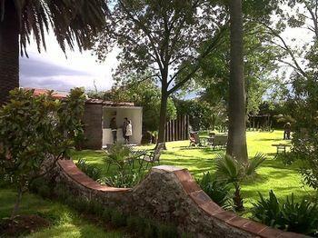 Colibri - &