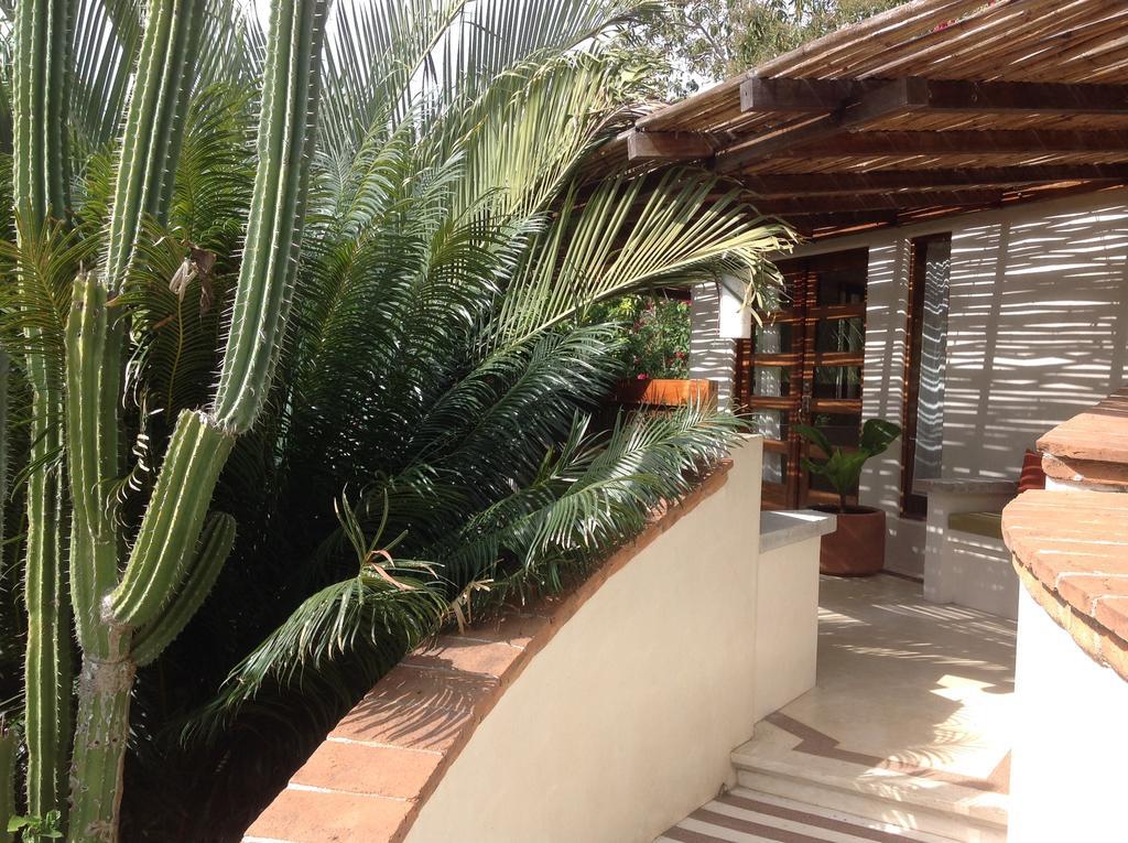 Casa Flor De Mar Hotel Zipolite