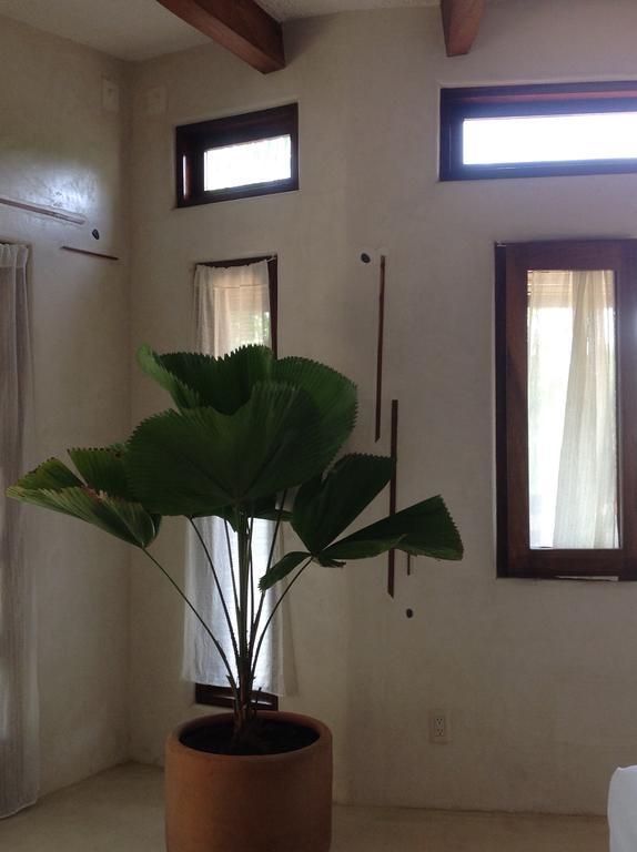 Casa Flor De Mar Hotel