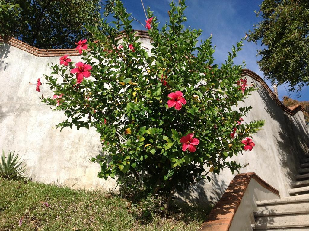 Casa Flor De Mar
