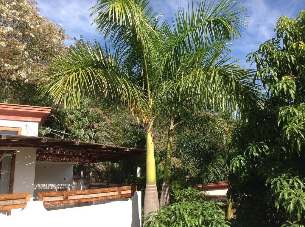 Casa Flor De Mar Hotel Zipolite
