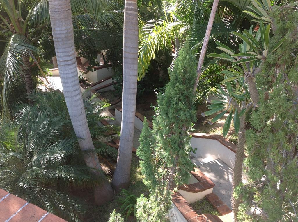 Hotel Casa Flor De Mar 3*