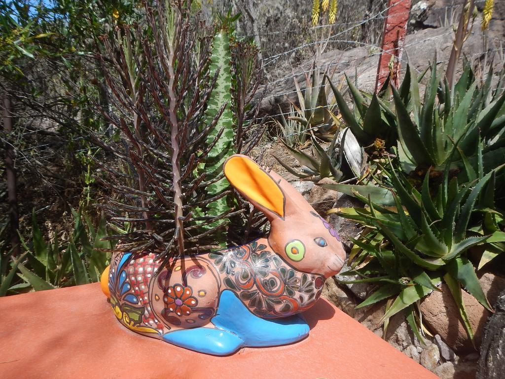 Sagrada Boutique Hotel San Miguel de Allende