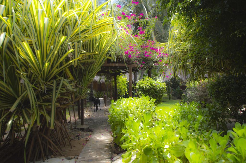 Guest house Bambuddha Centro Holistico 3*