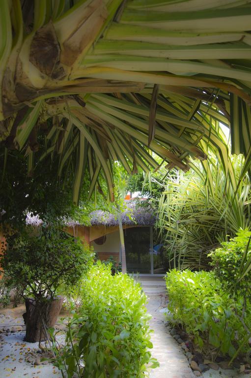 Bambuddha Centro Holistico Guest house 3*