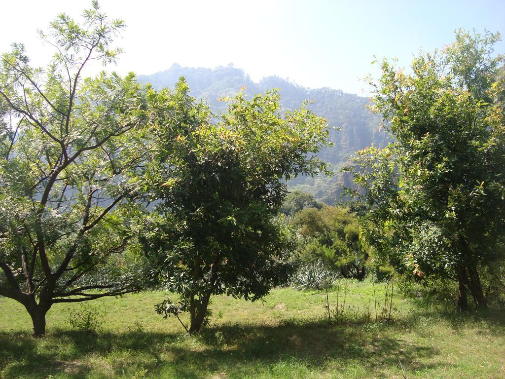Lodge Xamicalli Tlayacapan
