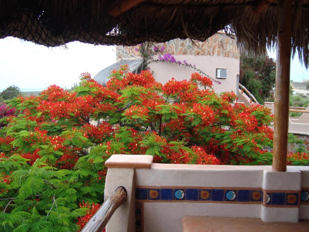 Bed & Breakfast Serendipity 5*