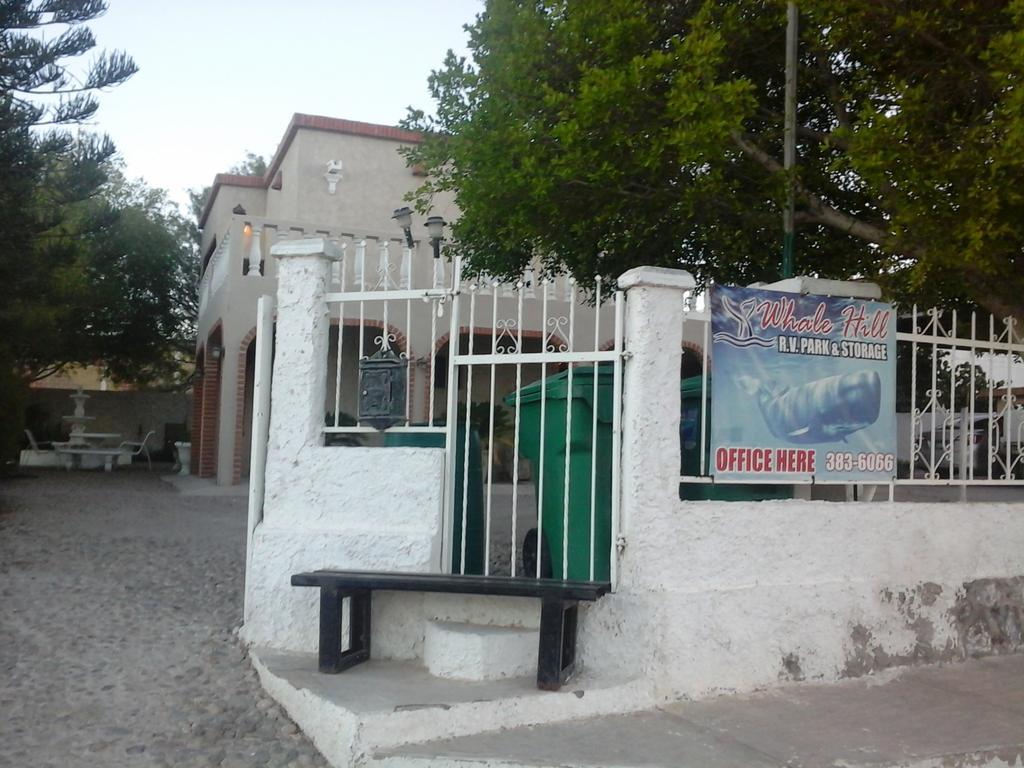Whale Hill