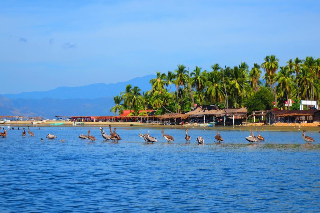 Hacienda La Rusa 2* Barra de Potosi