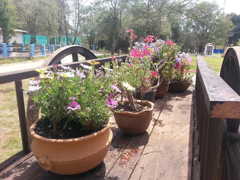 Hacienda Club La Diligencia Hotel