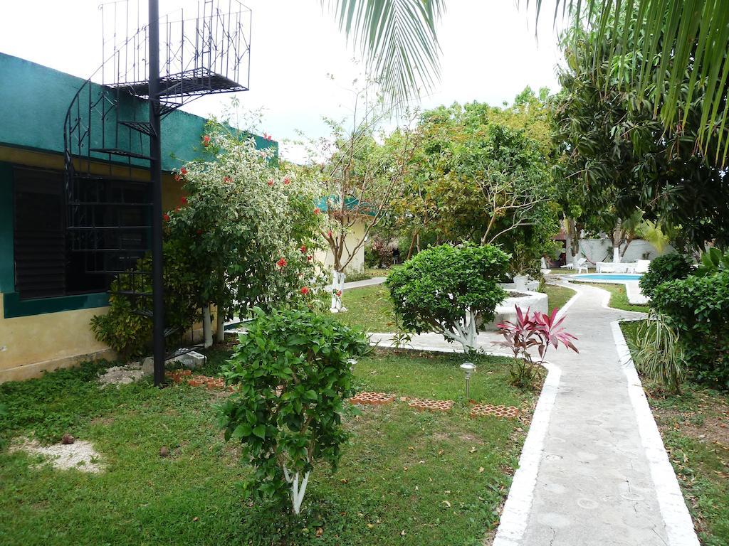 Hostel Amigos *