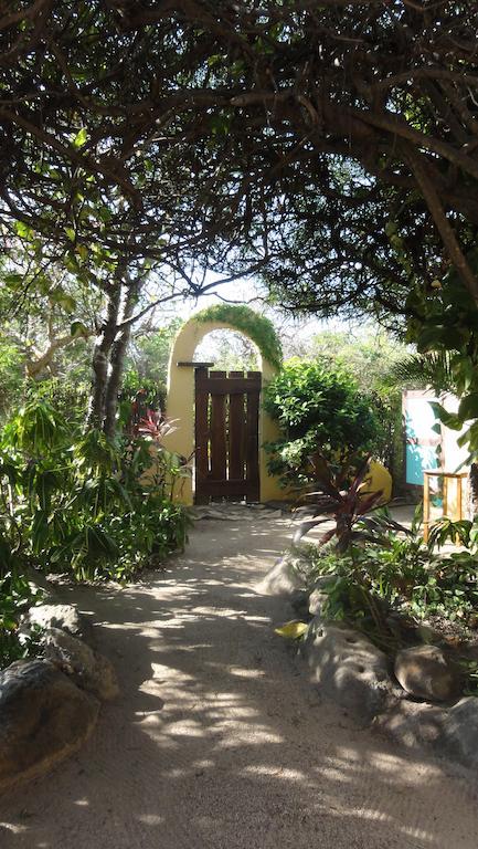 Hostel Point Troncones