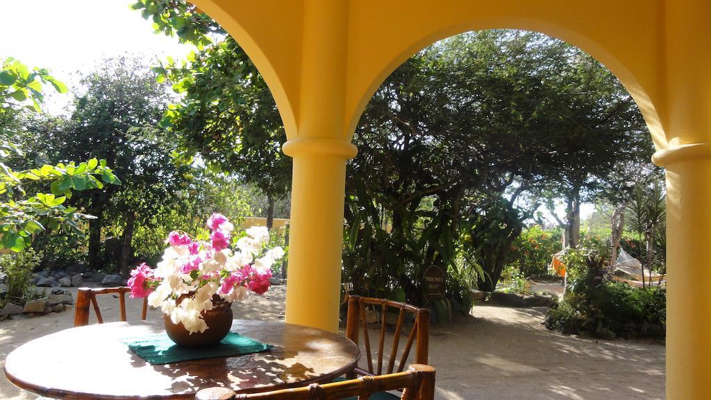 Hostel Point Troncones