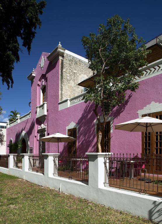Rosas & Xocolate Boutique And Merida, A Member Of Design Merida