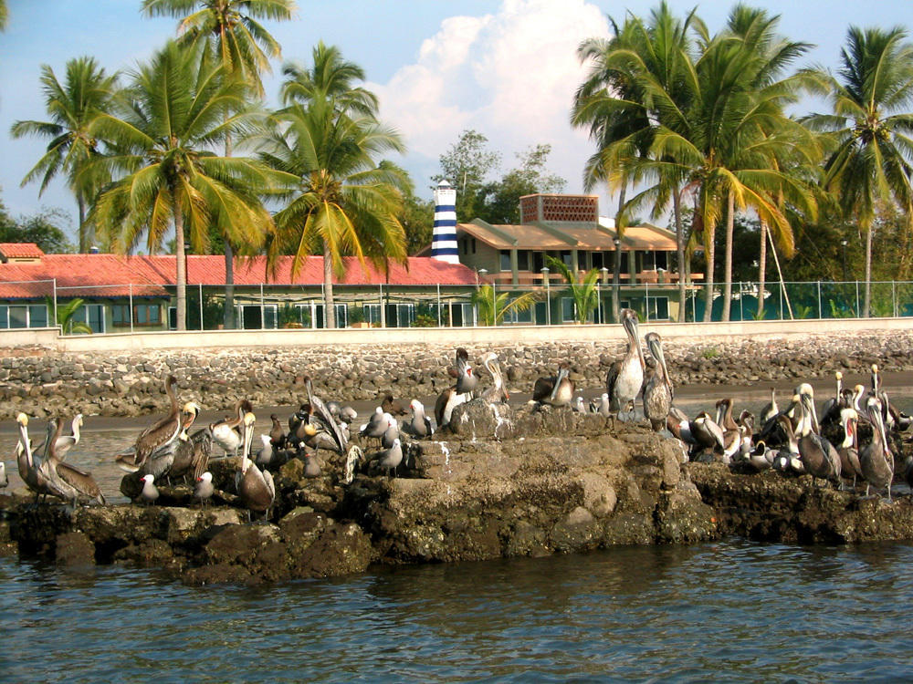 Hotel Marina