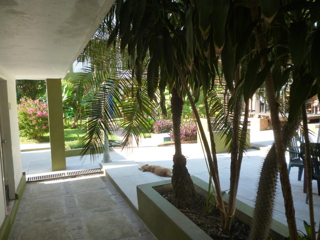 Hotel Las Olas