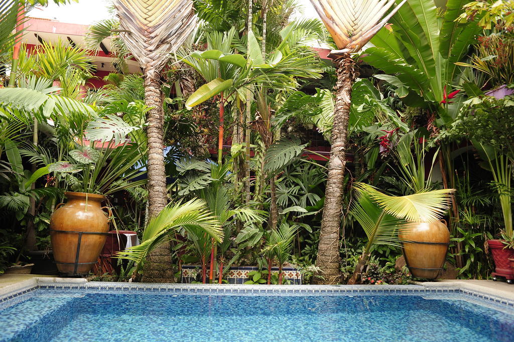 Hotel Hotel Boutique Casona Maya Mexicana