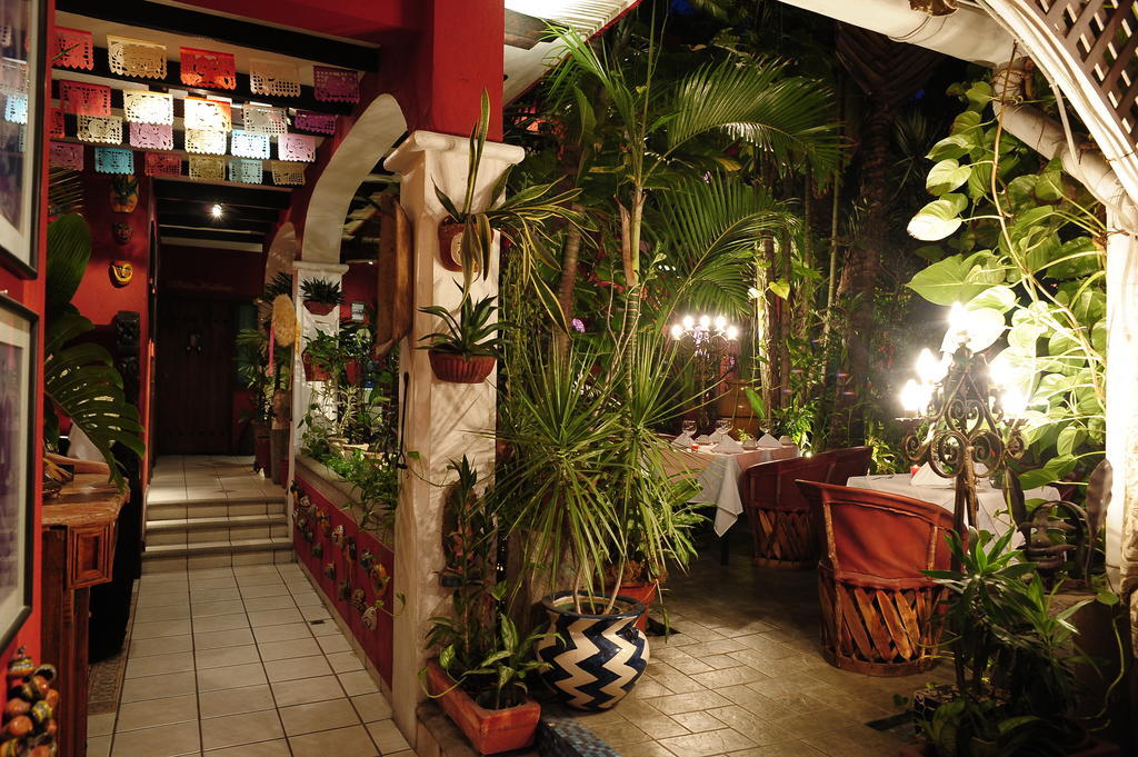 Hotel Hotel Boutique Casona Maya Mexicana